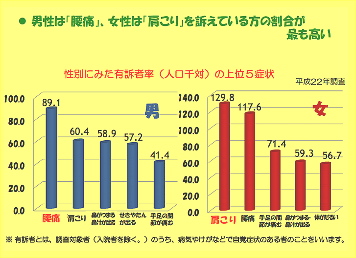 腰痛・肩こり