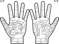 ハンドリフレクソロジー反射区図