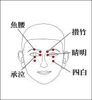 魚腰・攅竹・睛明・承泣・四白のツボ