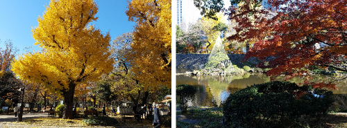 日比谷公園