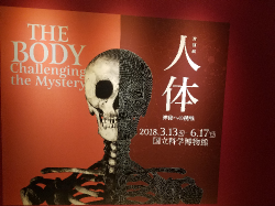 人体展　東京