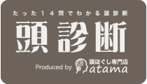 頭診断